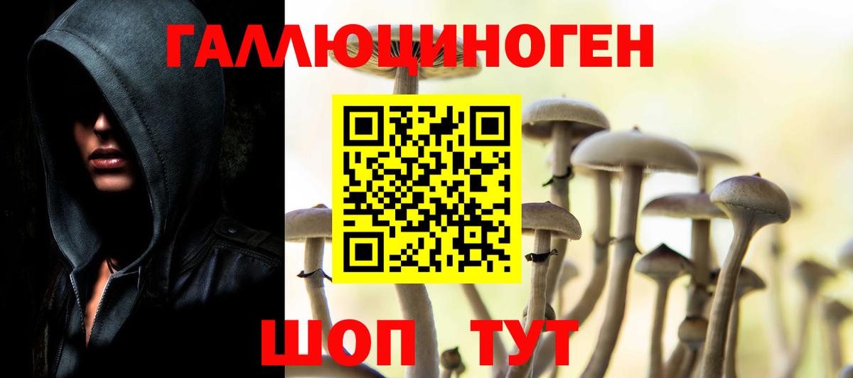 Псилоцибиновые грибы Psilocybine cubensis Качканар
